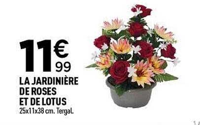 LA JARDINIÈRE DE ROSES ET DE LOTUS