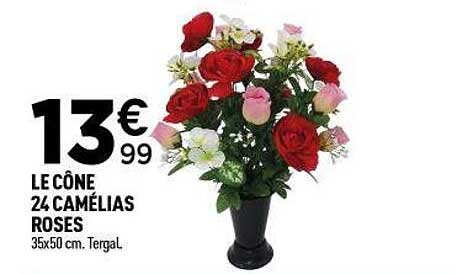 LE CÔNE 24 CAMÉLIAS ROSES