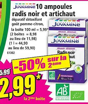 10 ampoules radis noir et artichaut