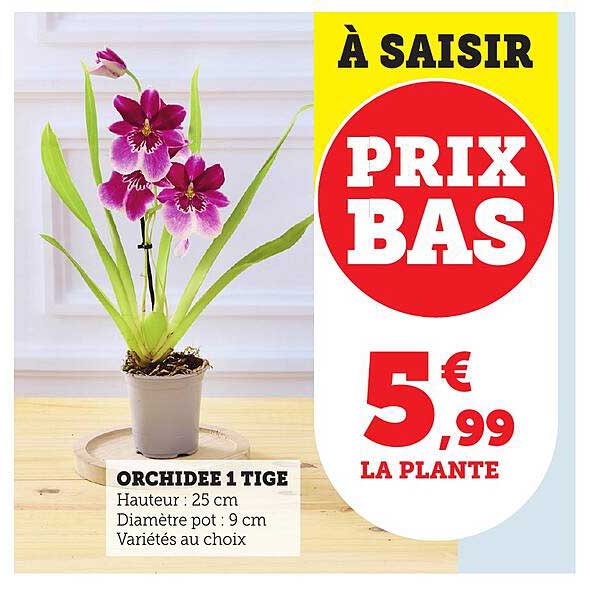 À SAISIR