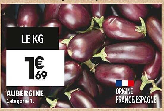 AUBERGINE
