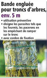 Bande engluée pour troncs d'arbres, env. 5 m