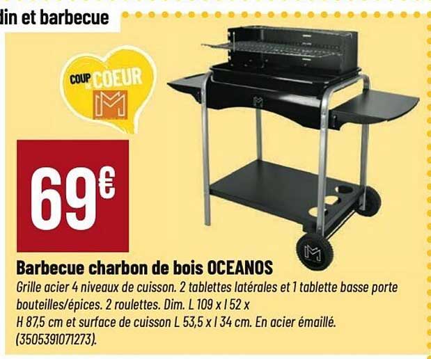 Barbecue charbon de bois OCEANOS