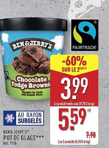 BEN & JERRY'S POT DE GLACE - Chocolate Fudge Brownie