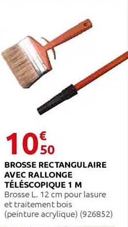 BROSSE RECTANGULAIRE AVEC RALLONGE TÉLESCOPIQUE 1 M