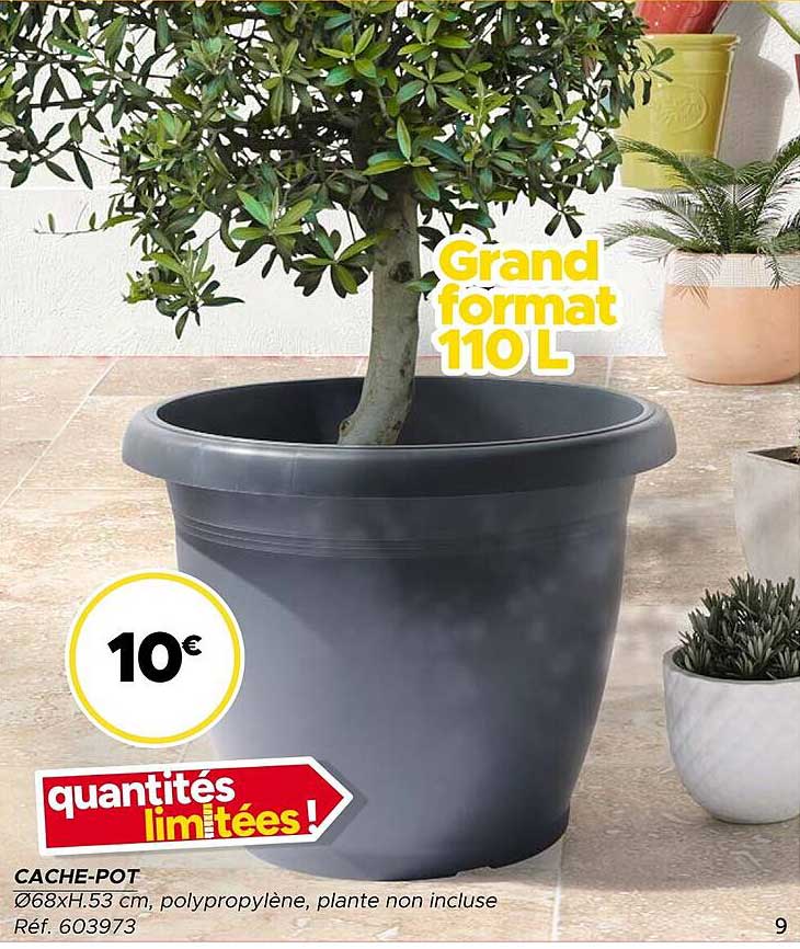 CACHE-POT