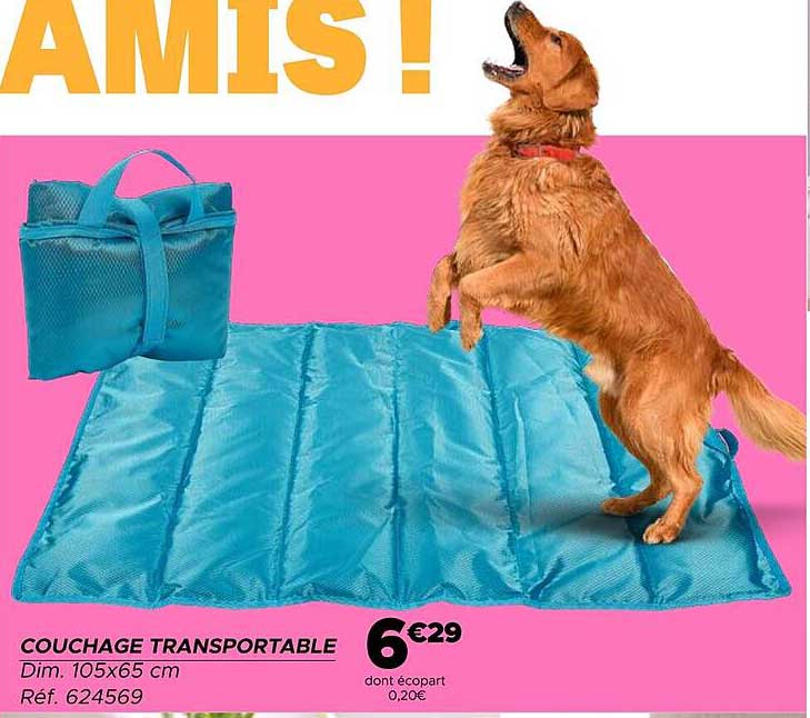 COUCHE TRANSPORTABLE