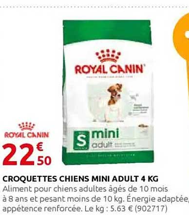 CROQUETTES CHIENS MINI ADULT 4 KG
