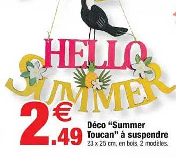 Déco “Summer Toucan” à suspendre