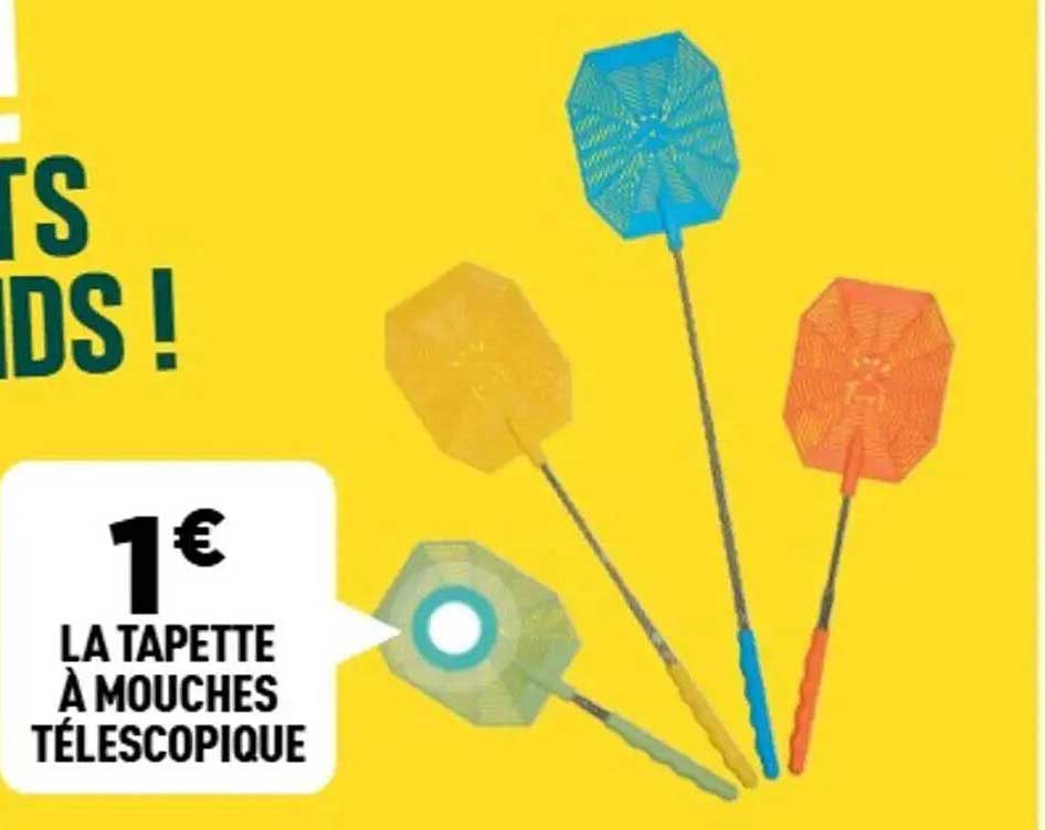 LA TAPETTE À MOUCHES TÉLESCOPIQUE