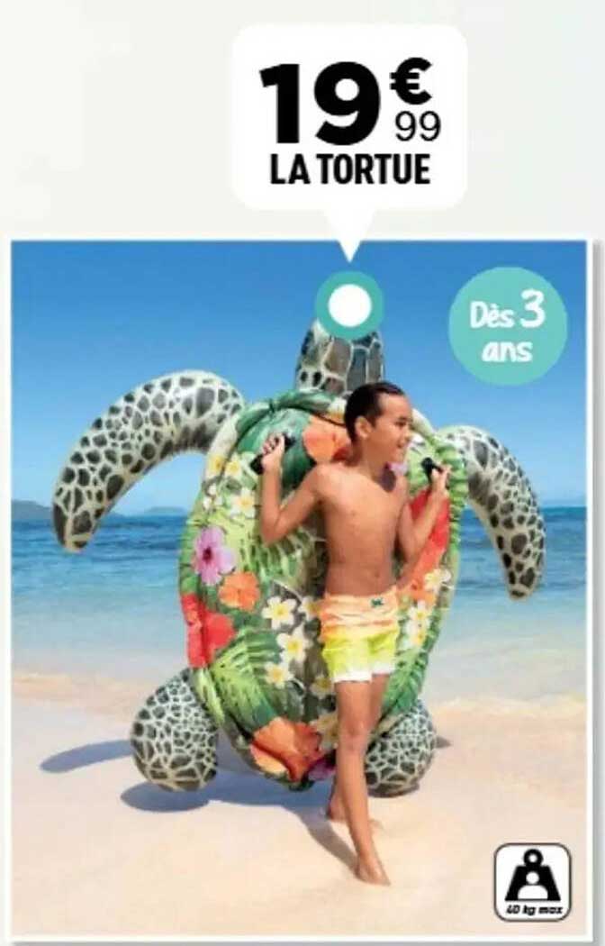 LA TORTUE