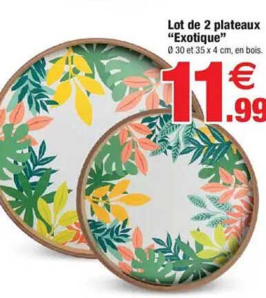 Lot de 2 plateaux “Exotique”
