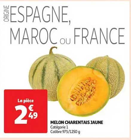 MELON CHARENTAIS JAUNE