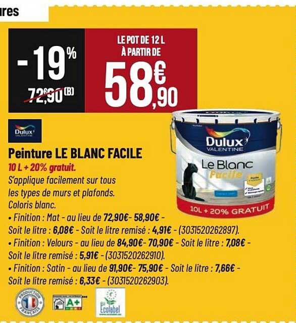 Peinture LE BLANC FACILE