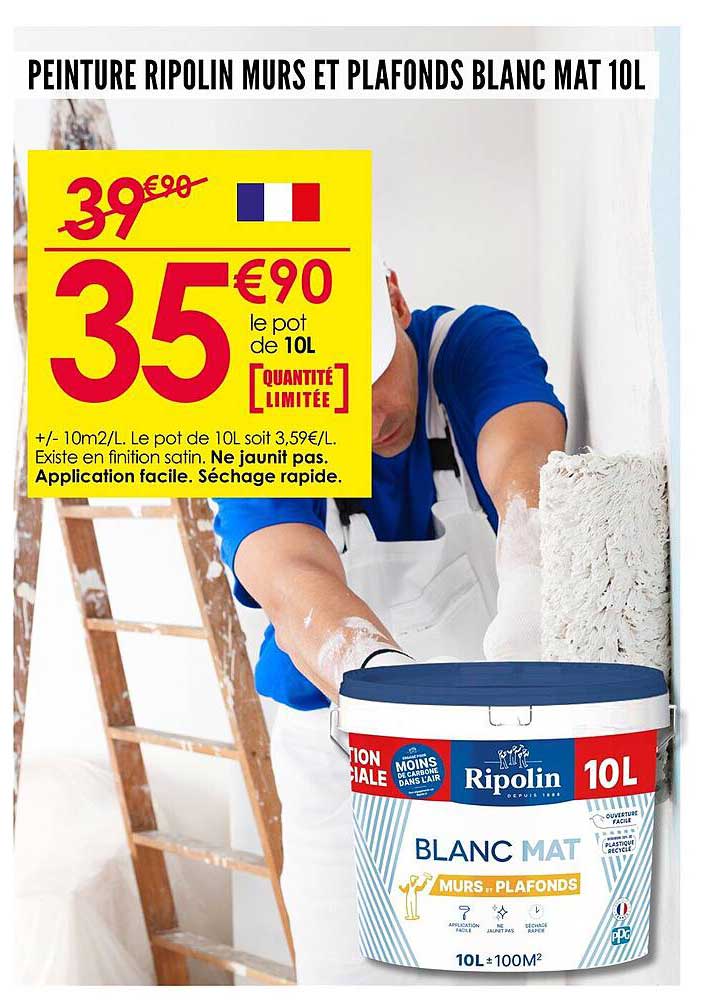 PEINTURE RIPOLIN MURS ET PLAFONDS BLANC MAT 10L