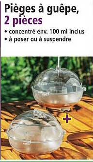 Pièges à guêpe, 2 pièces