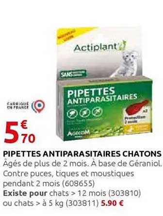 PIPETTES ANTIPARASITAIRES CHATONS