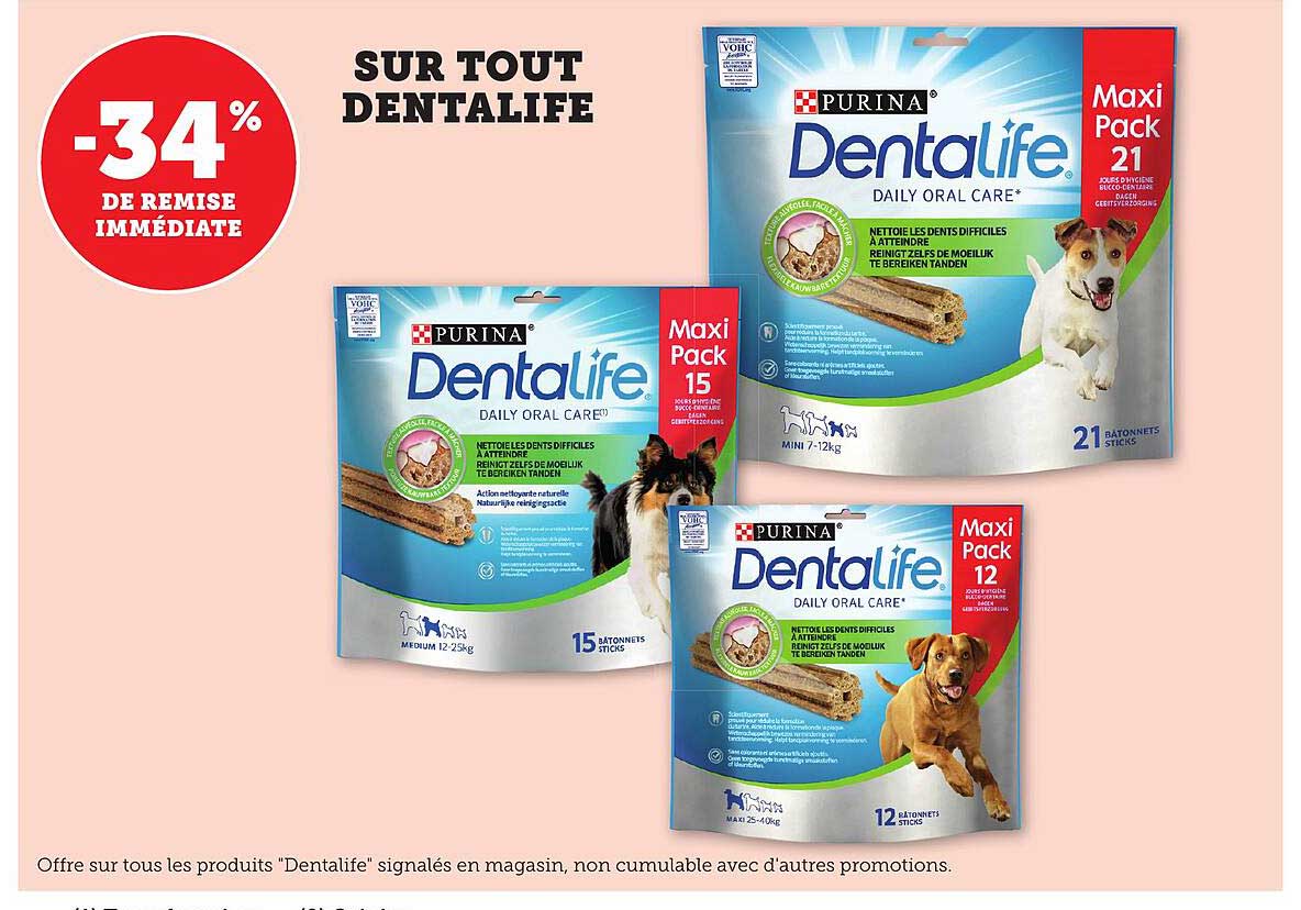 SUR TOUT DENTALIFE