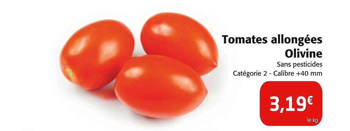 Tomates allongées Olivine