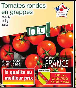 Tomates rondes en grappes