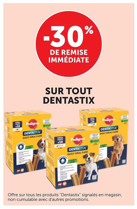 -30% DE REMISE IMMÉDIATE SUR TOUT DENTASTIX