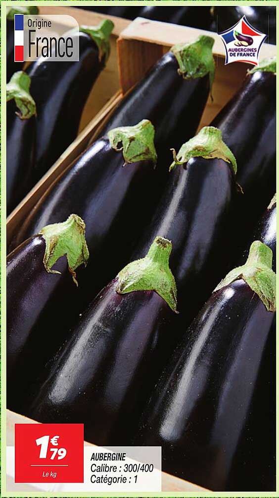 AUBERGINE