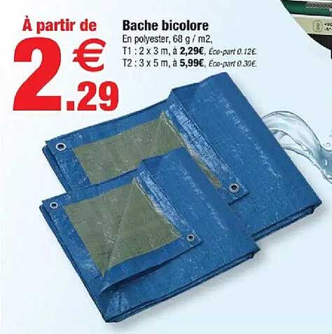 Bache bicolore