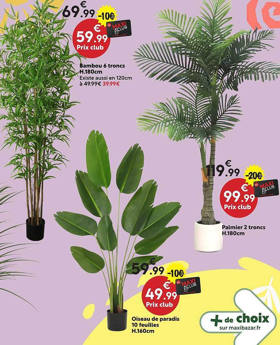 Bambou 6 troncs H.180cm