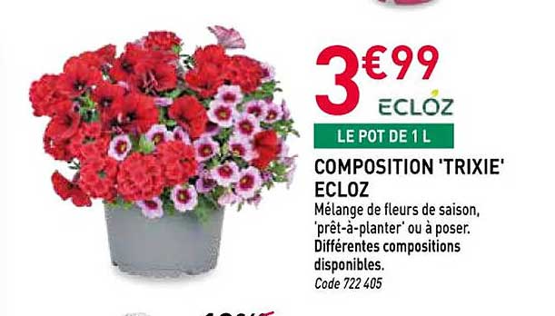 COMPOSITION 'TRIXIE' ECLOZ