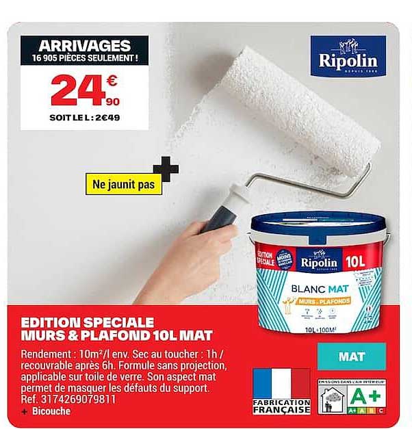EDITION SPECIALE MURS & PLAFOND 10L MAT