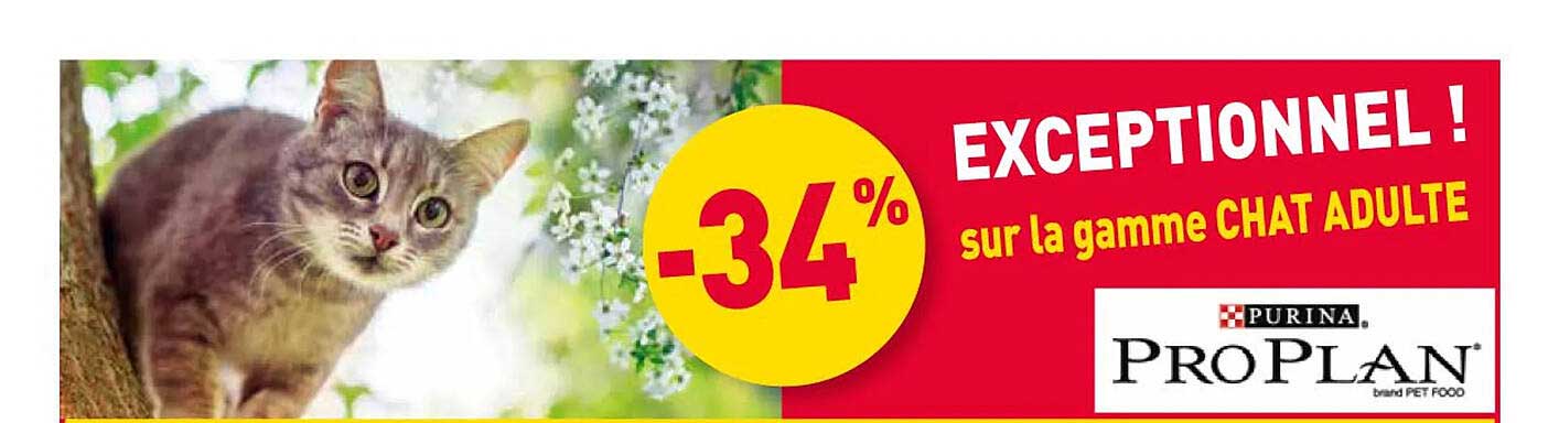 EXCEPTIONNEL ! sur la gamme CHAT ADULTE
