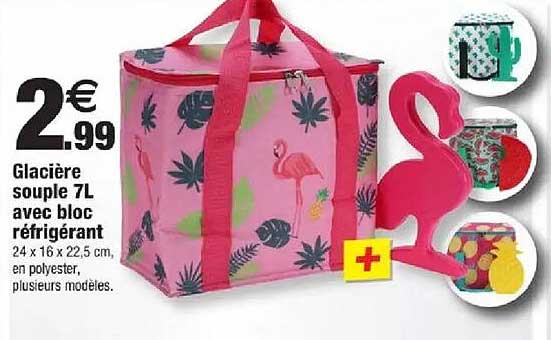 Glacière souple 7L avec bloc réfrigérant
