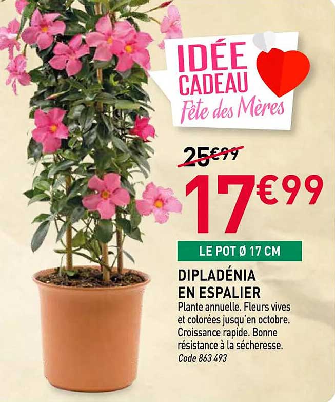 IDÉE CADEAU Fête des Mères