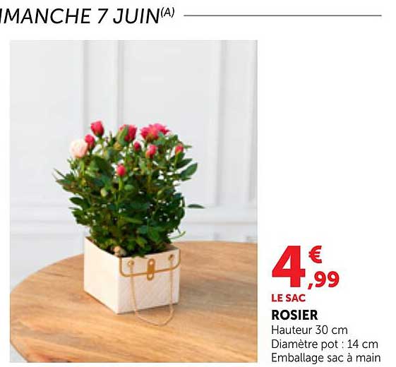 LE SAC ROSIER
