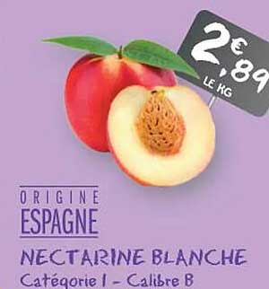NECTARINE BLANCHE