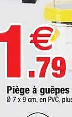 Piège à guêpes