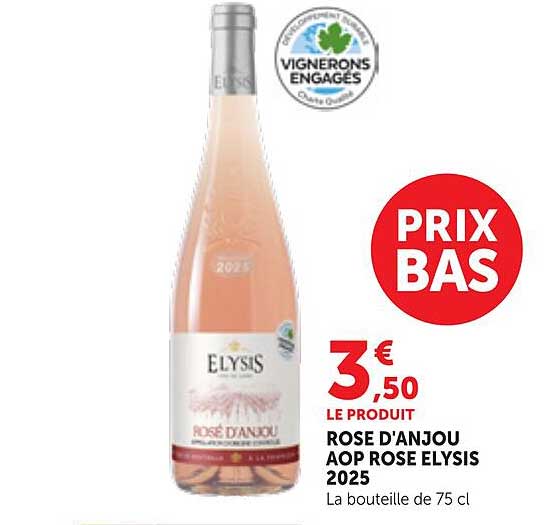 ROSE D'ANJOU AOP ROSE ELYSIS 2025