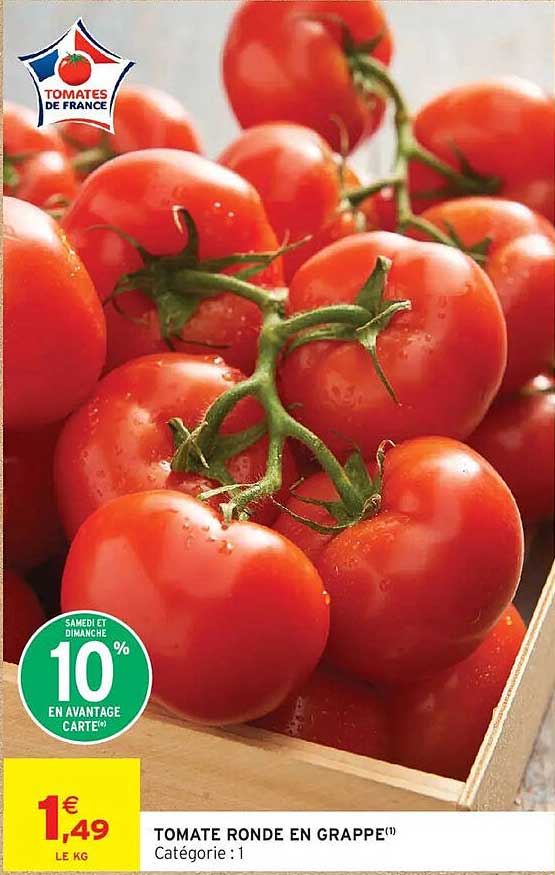 TOMATE RONDE EN GRAPPE