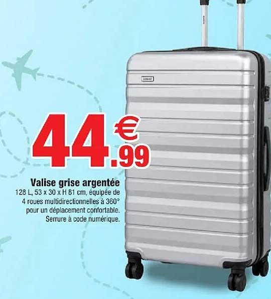 Valise grise argentée