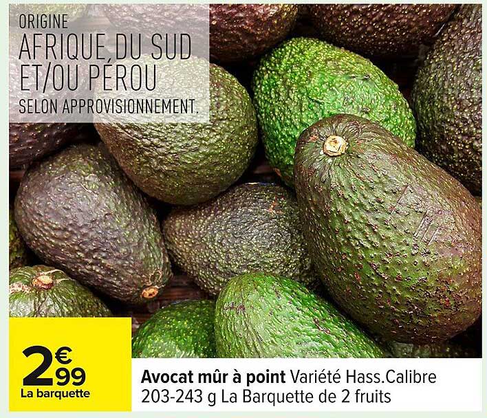 Avocat mûr à point Varieté Hass