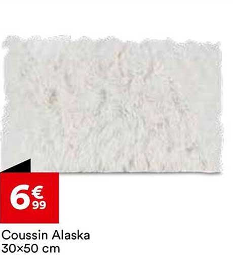 Coussin Alaska 30x50 cm