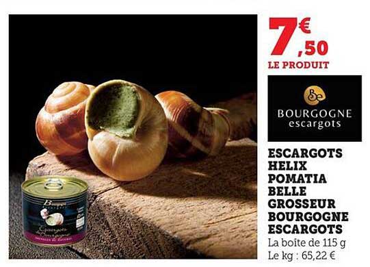 ESCARGOTS HELIX POMATIA BELLE GROSSEUR BOURGOGNE ESCARGOTS