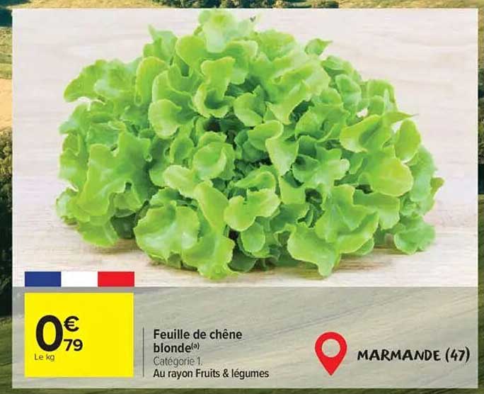 Feuille de chêne blonde