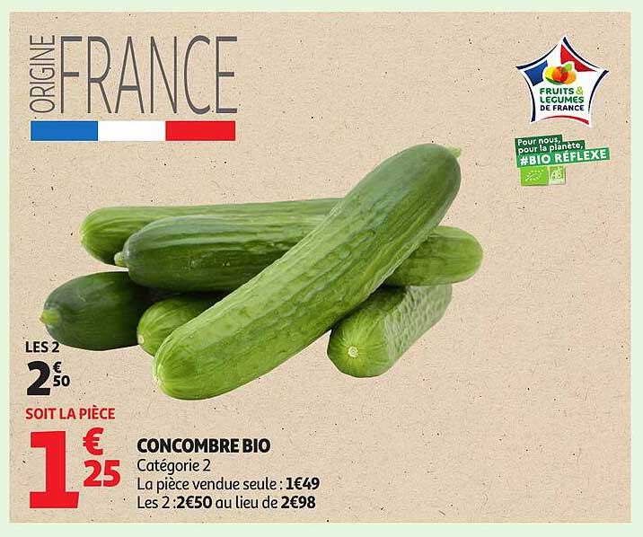 CONCOMBRE BIO