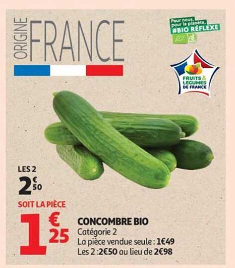CONCOMBRE BIO Catégorie 2