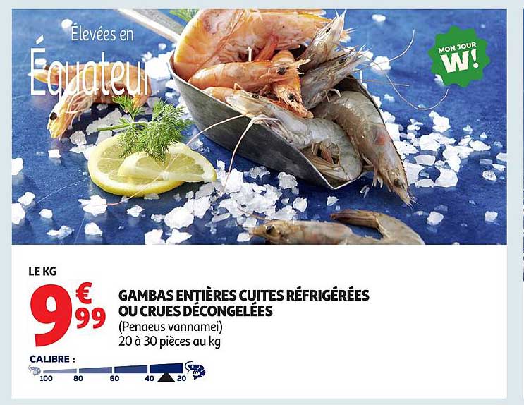 GAMBA ENTIERES CUITES RÉFRIGÉRÉES OU CRUES DÉCONGELÉES