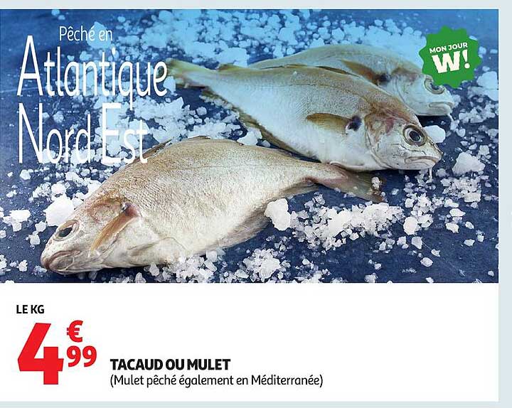TACAUD OU MULET
