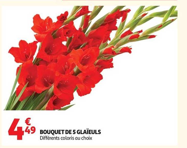 BOUQUET DE 5 GLAÏEULS