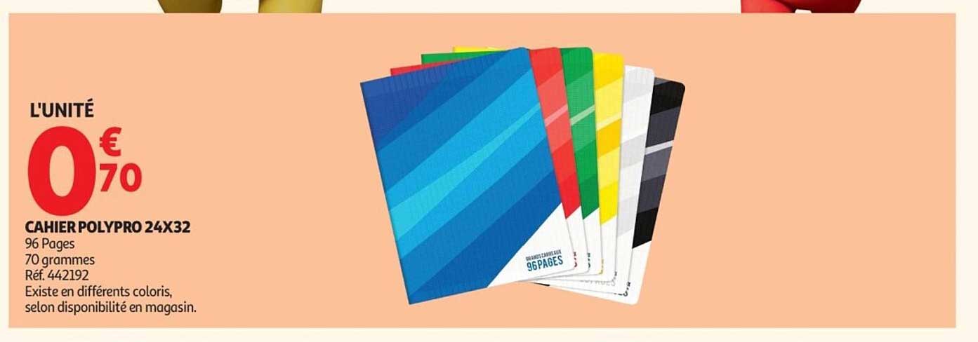 CAHIER POLYPRO 24X32