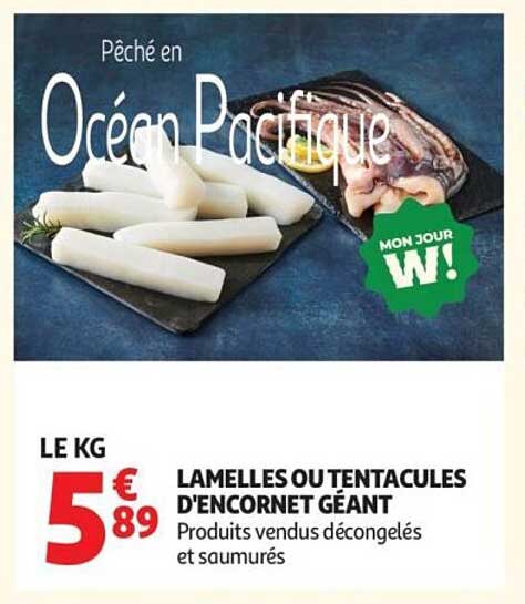 Lamelles ou tentacules d'encornet géant